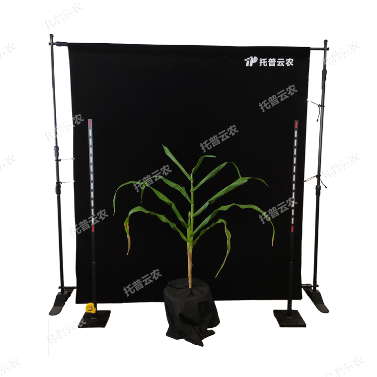 玉米株型分析系統 TPMT-X-1